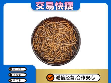 眉山市洪雅县高价回收散虫草